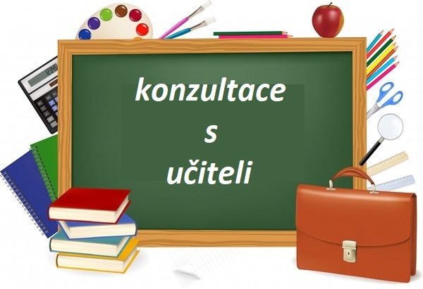 třídní konzultace