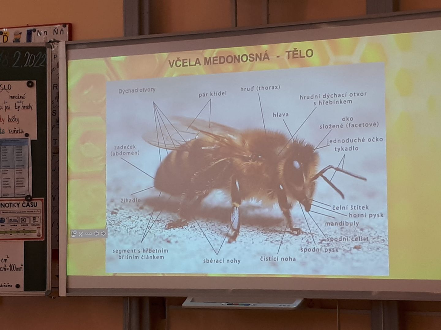ežýeřý