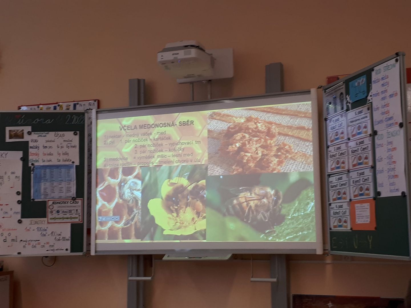 eřýeý